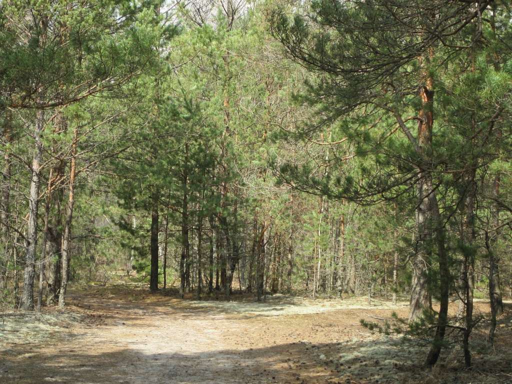 Мальовничі краєвиди - Перекалля