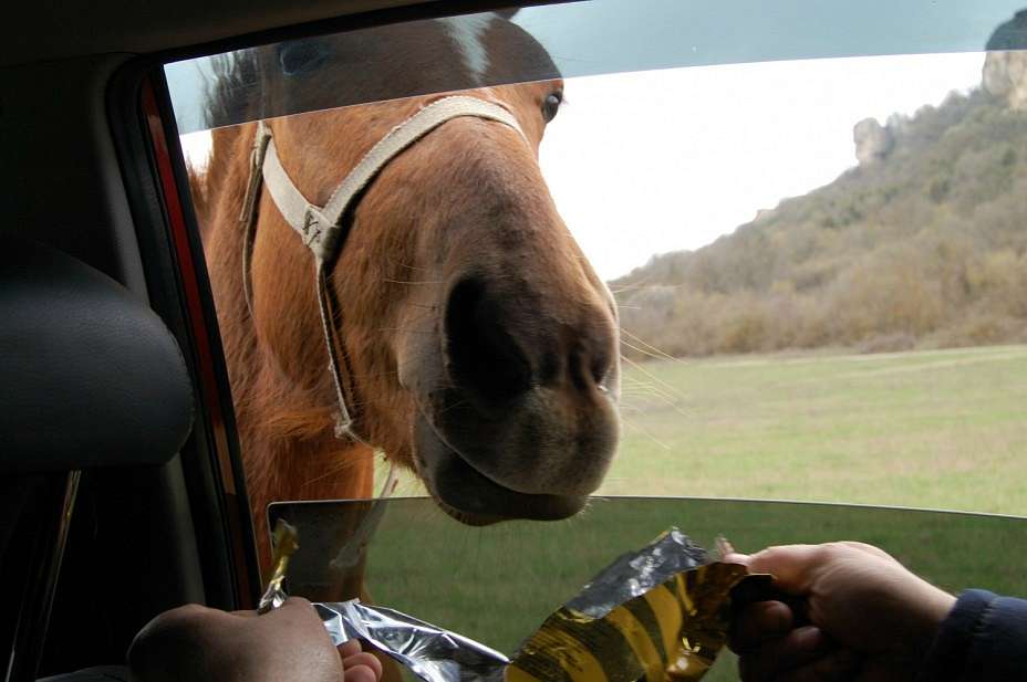 село - Винаровка