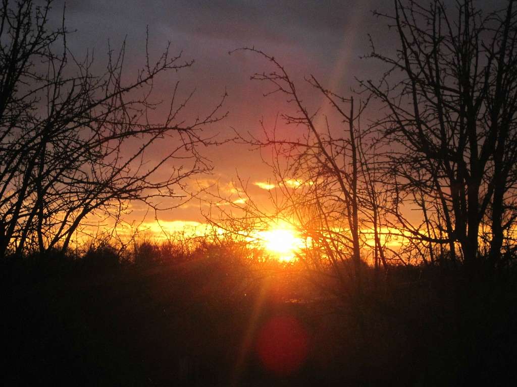 Мальовничі краєвиди - Перекалля