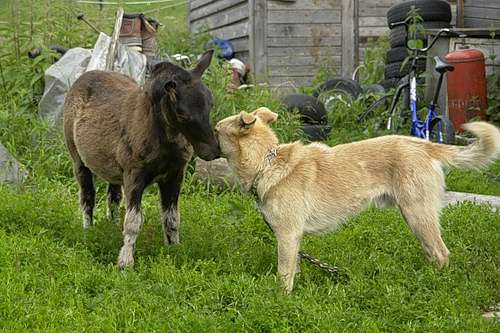 село - Винарівка