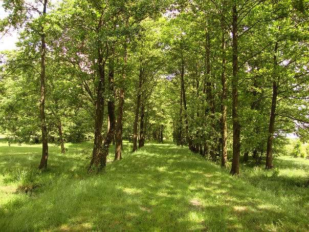 Морочненські краєвиди - Морочное