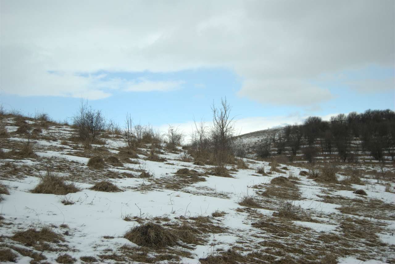 КРАЙ - Драгасимів