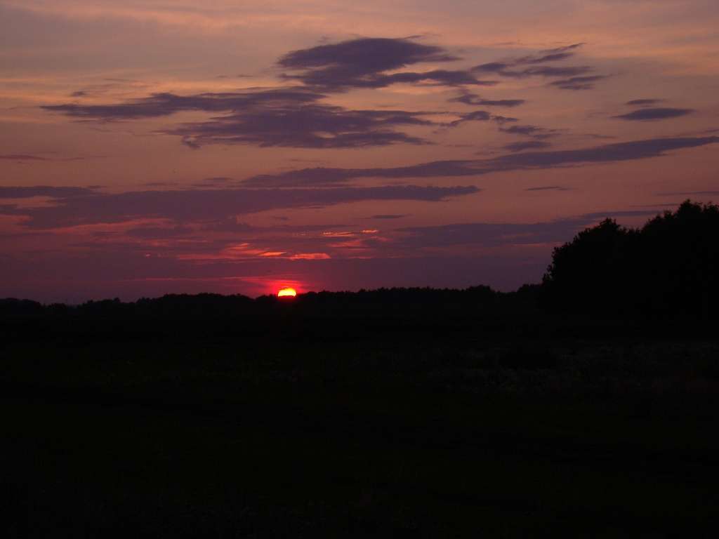 Літо - Гільці