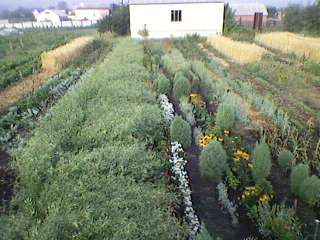 село - Винаровка