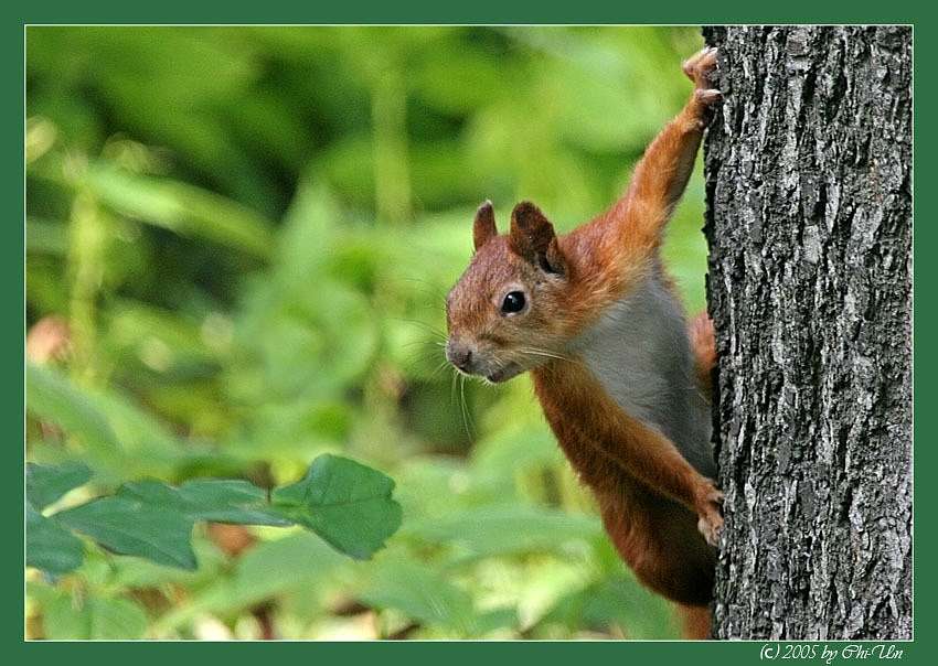 село - Винарівка