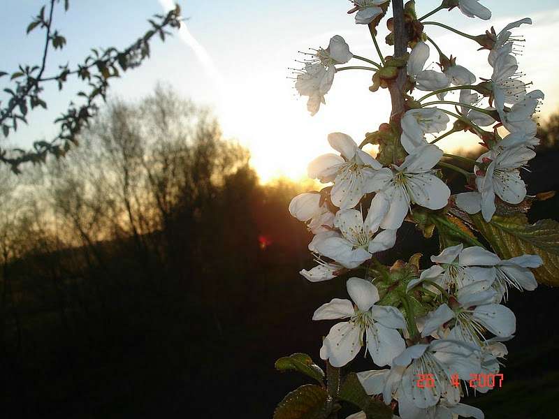 Остріїв - Остріїв