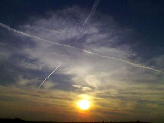 11 - Никловичі