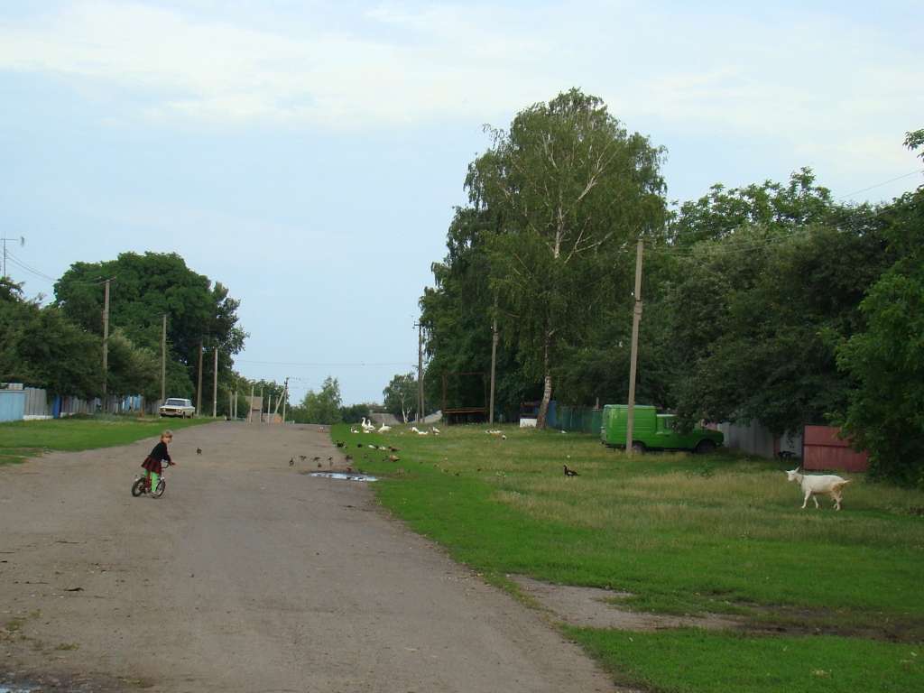 Літо - Giltsi
