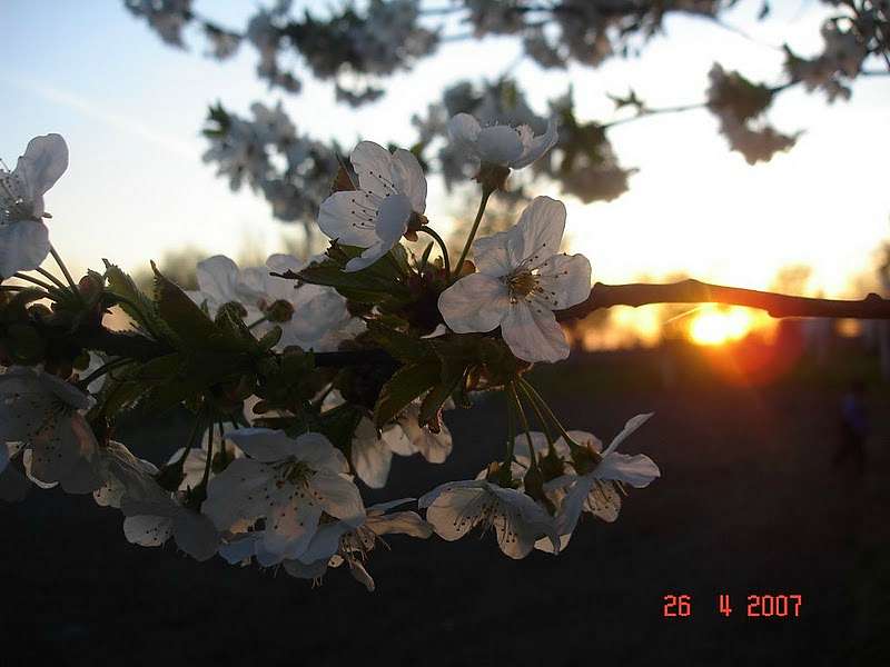Остріїв - Остріїв