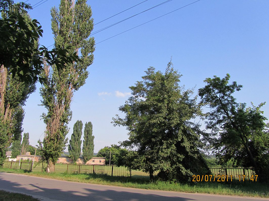 Єрки - Ерки