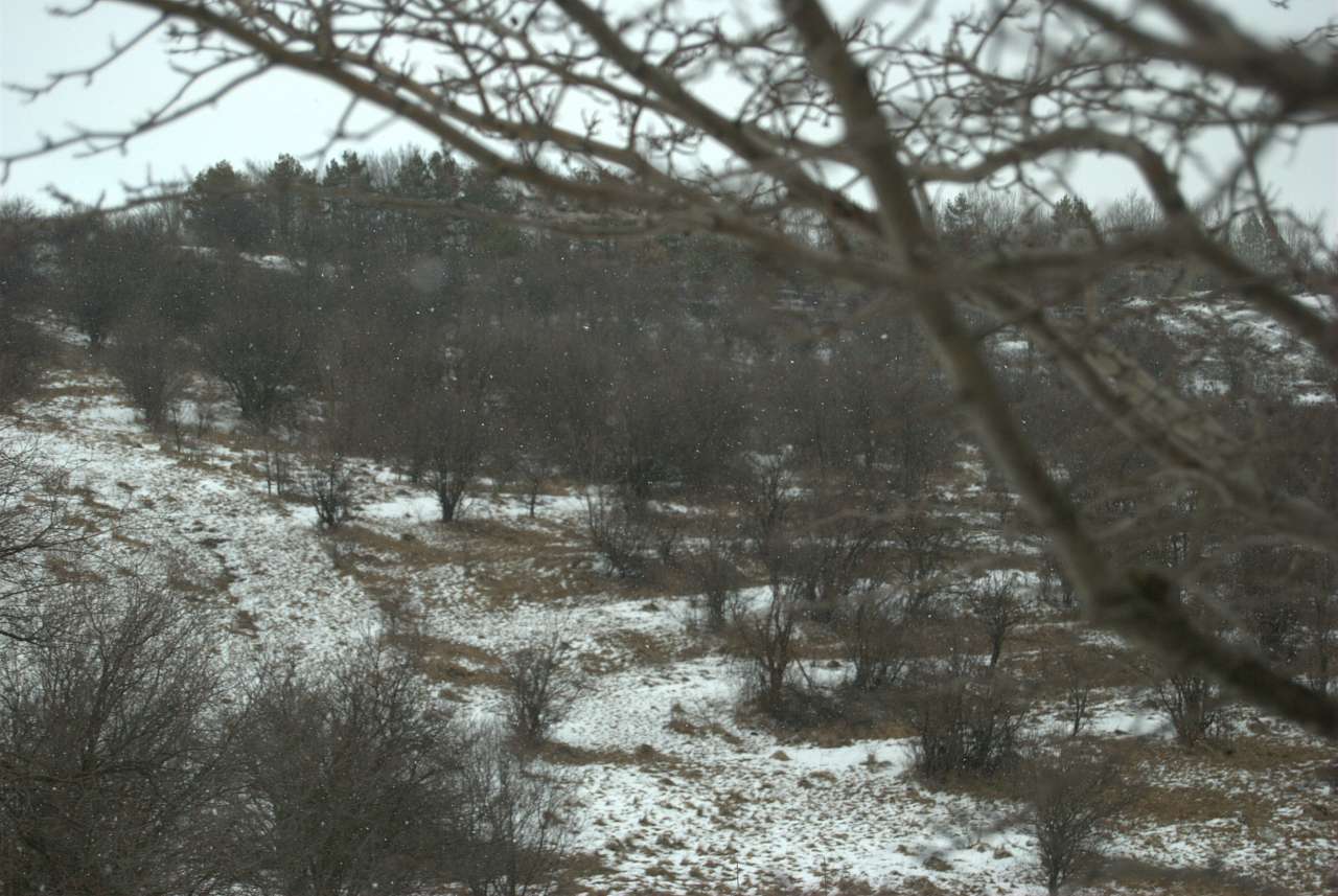 КРАЙ - Драгасимов