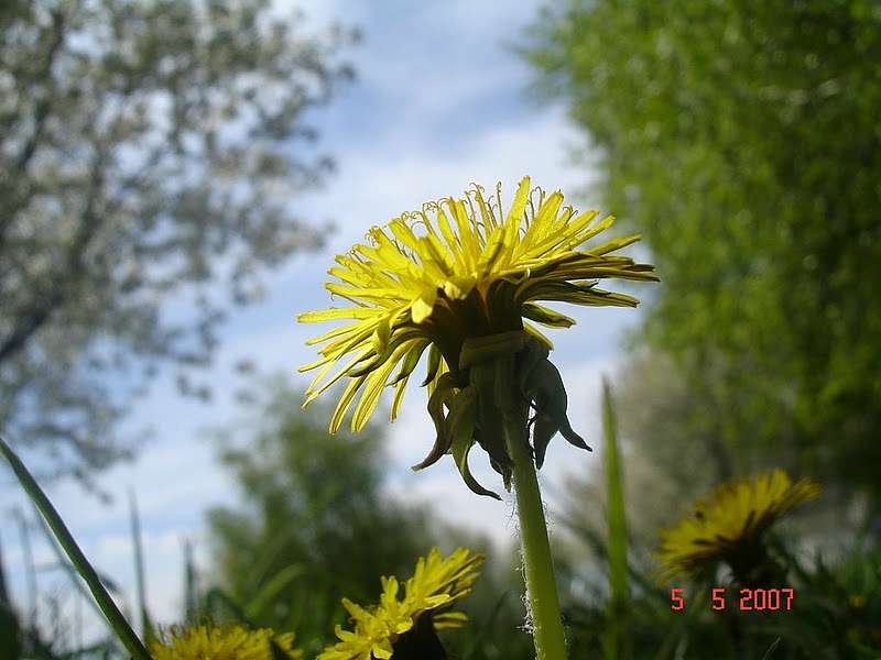 Остріїв - Остріїв