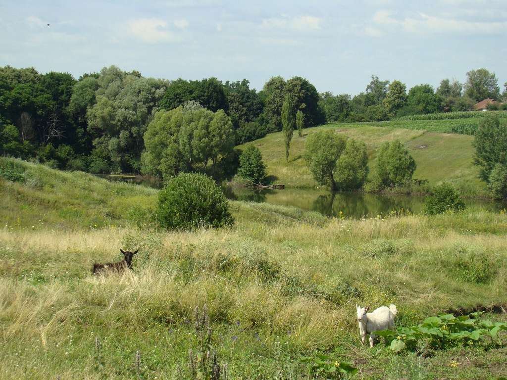 Фото села - Bilousivka