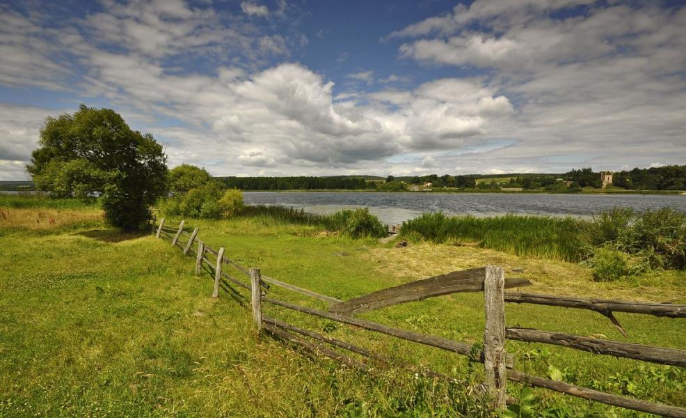 Новомалин - Новомалин