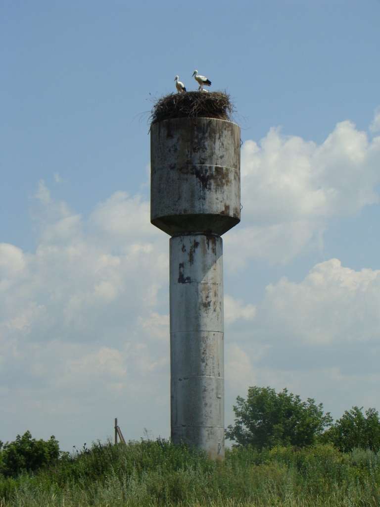 Літо - Gorodishche