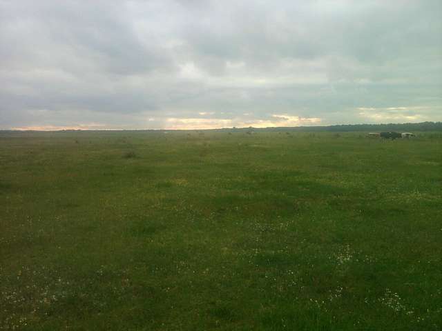 Галузія - Галузія