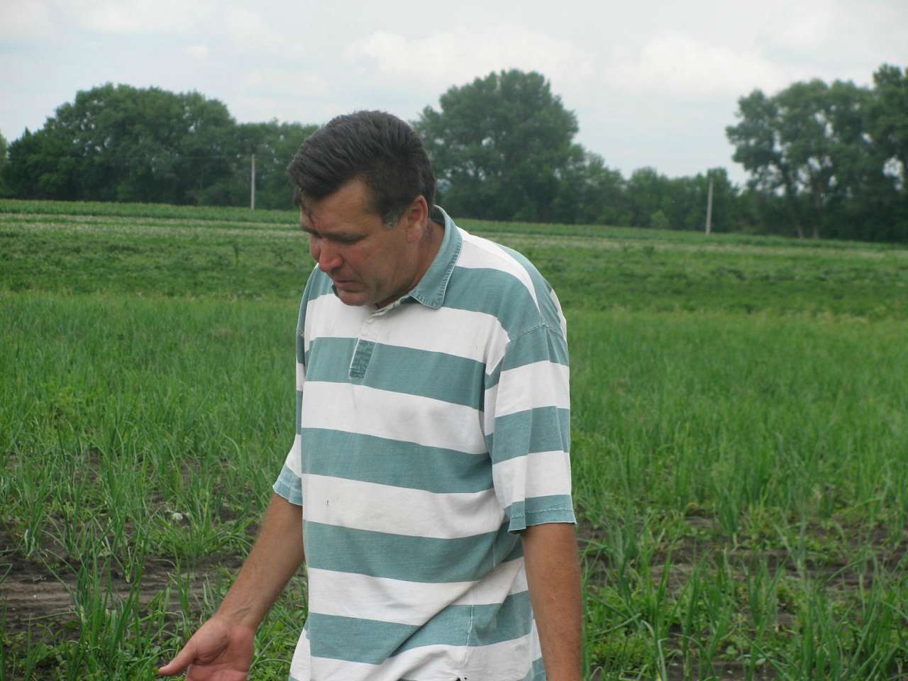 На угіддях Галича - Деркачи