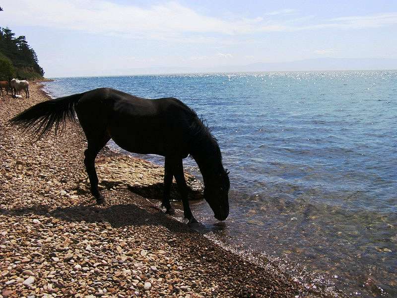 село - Винаровка