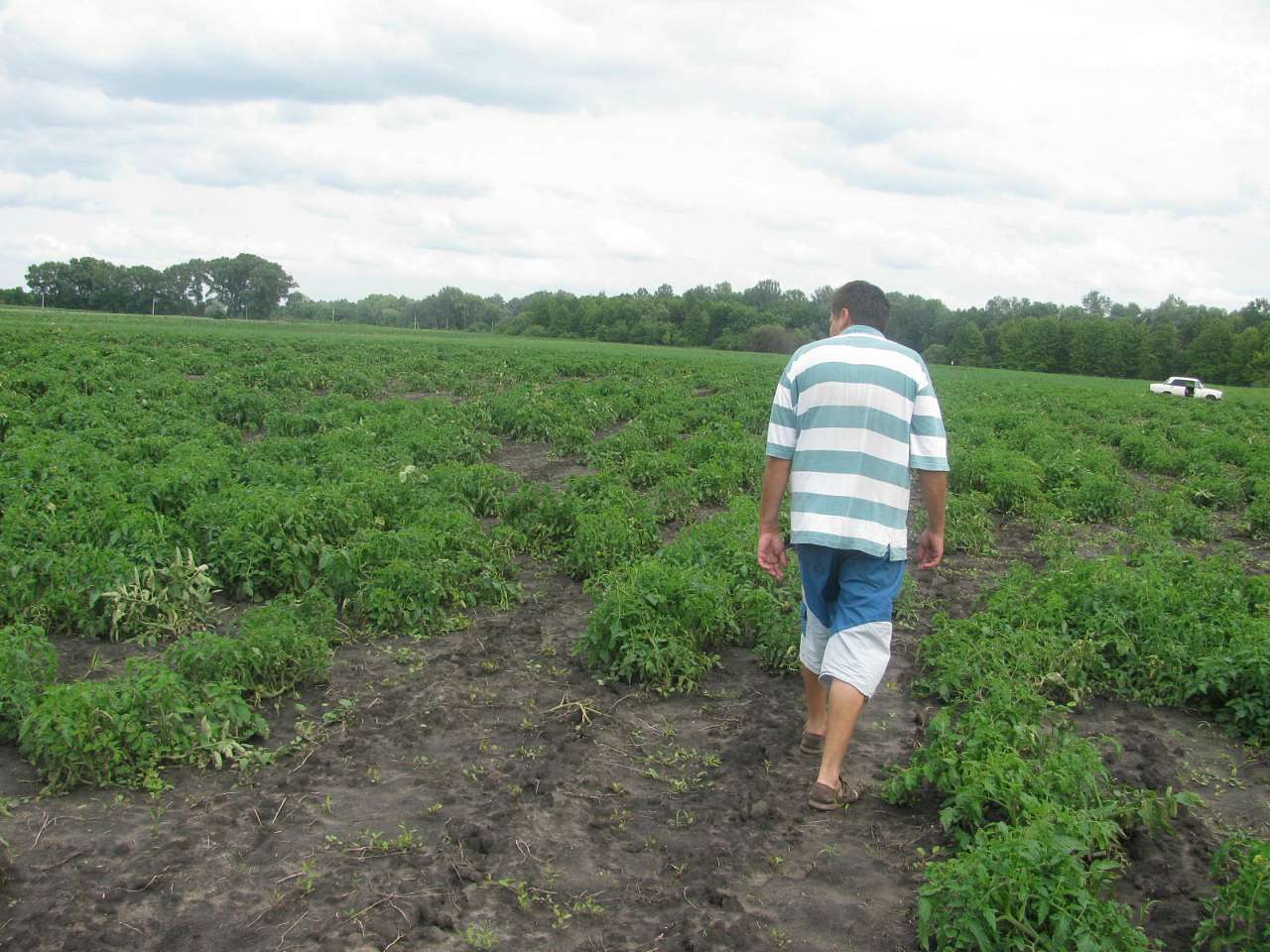 На угіддях Галича - Деркачи