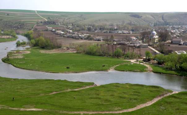 Шершенівка - Шершенівка