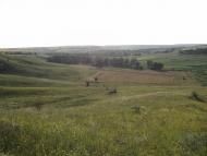 Виды на село