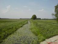 с.Петрівка,Чернігівська обл,Борзнянський р-н