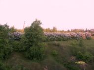 Мій рідний край, моє дитинство!....