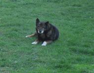 родительский дом