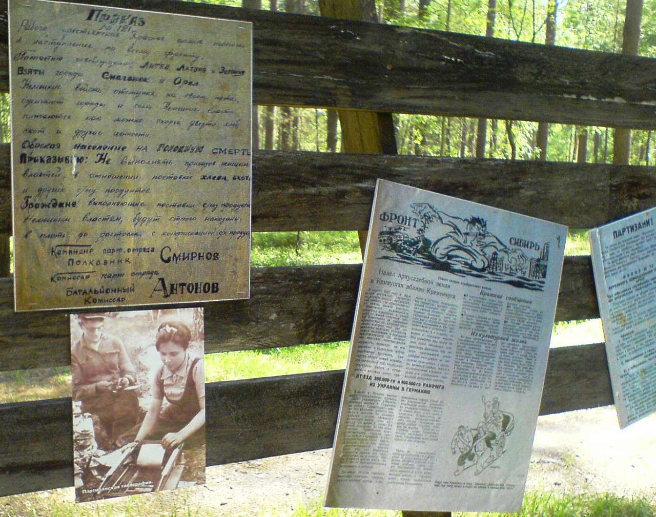 Лісоград - Елино