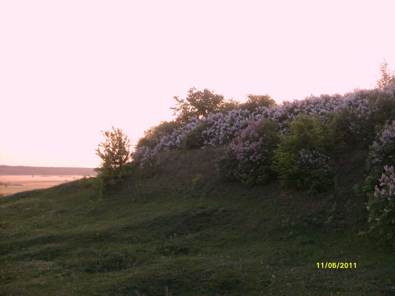 Мій рідний край, моє дитинство!.... - Клепали