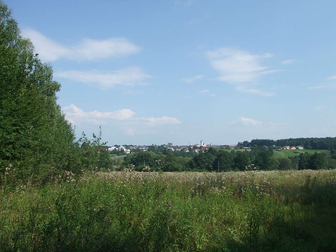 краєвид - Lysovychi