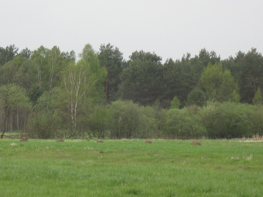 родительский дом - Згораны
