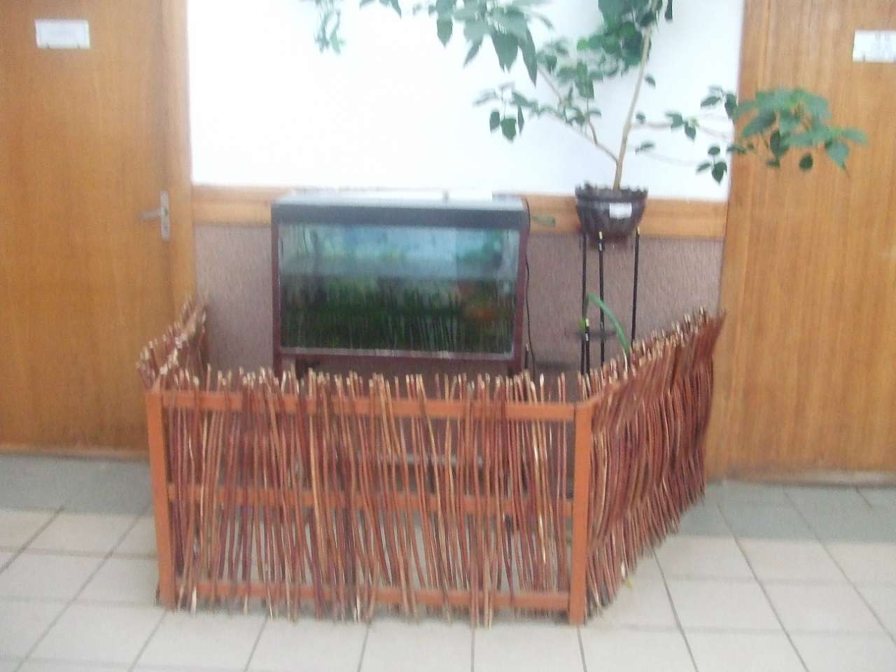 школа - Миртюки