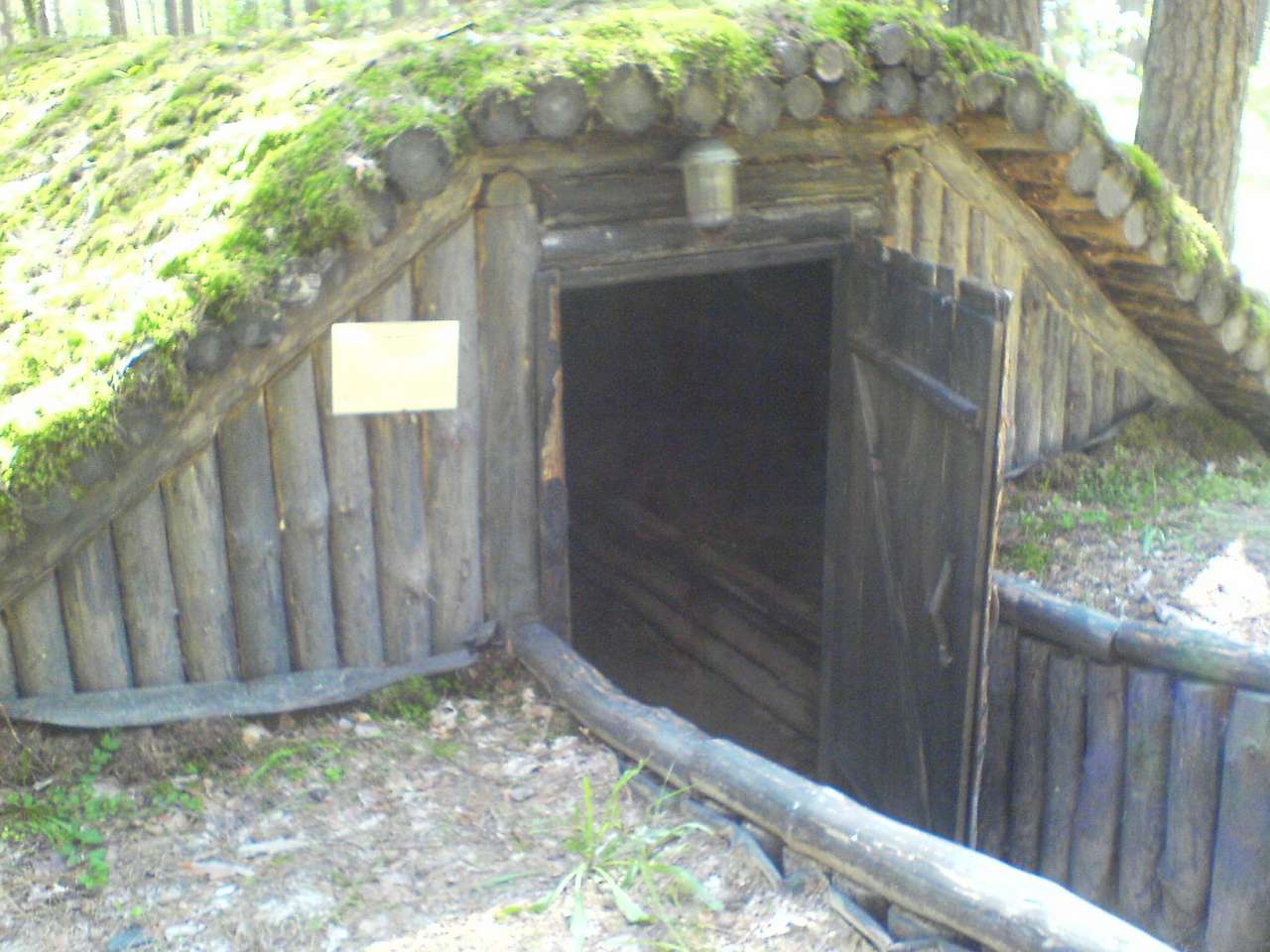 Лісоград - Єліне