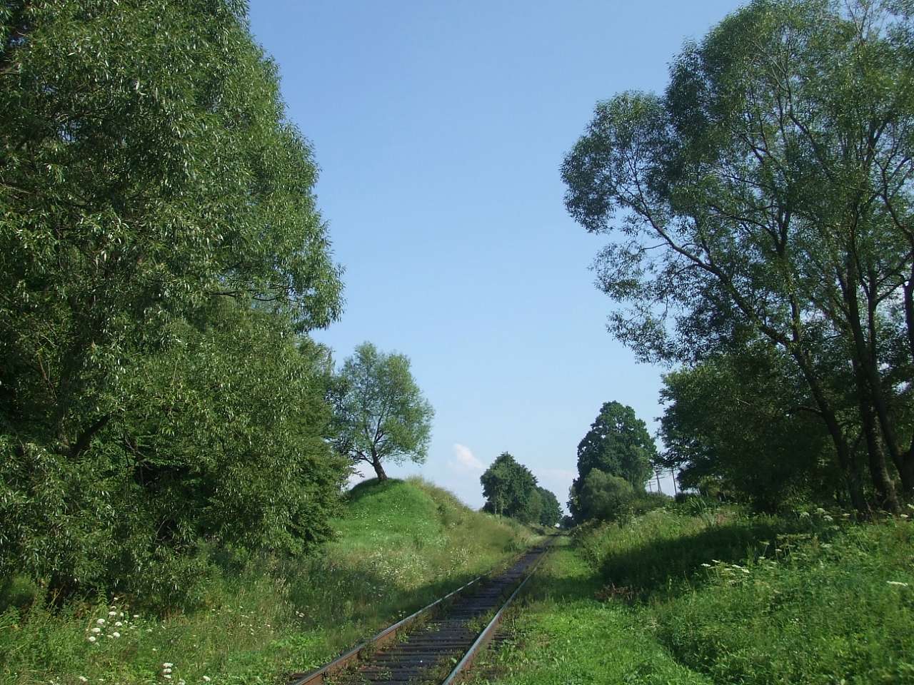 краєвид - Lysovychi