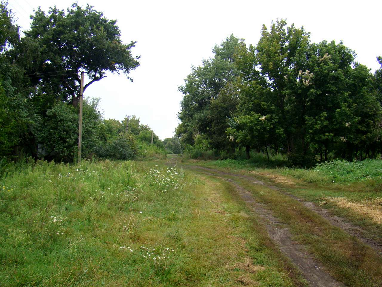 Фото села - Bilousivka