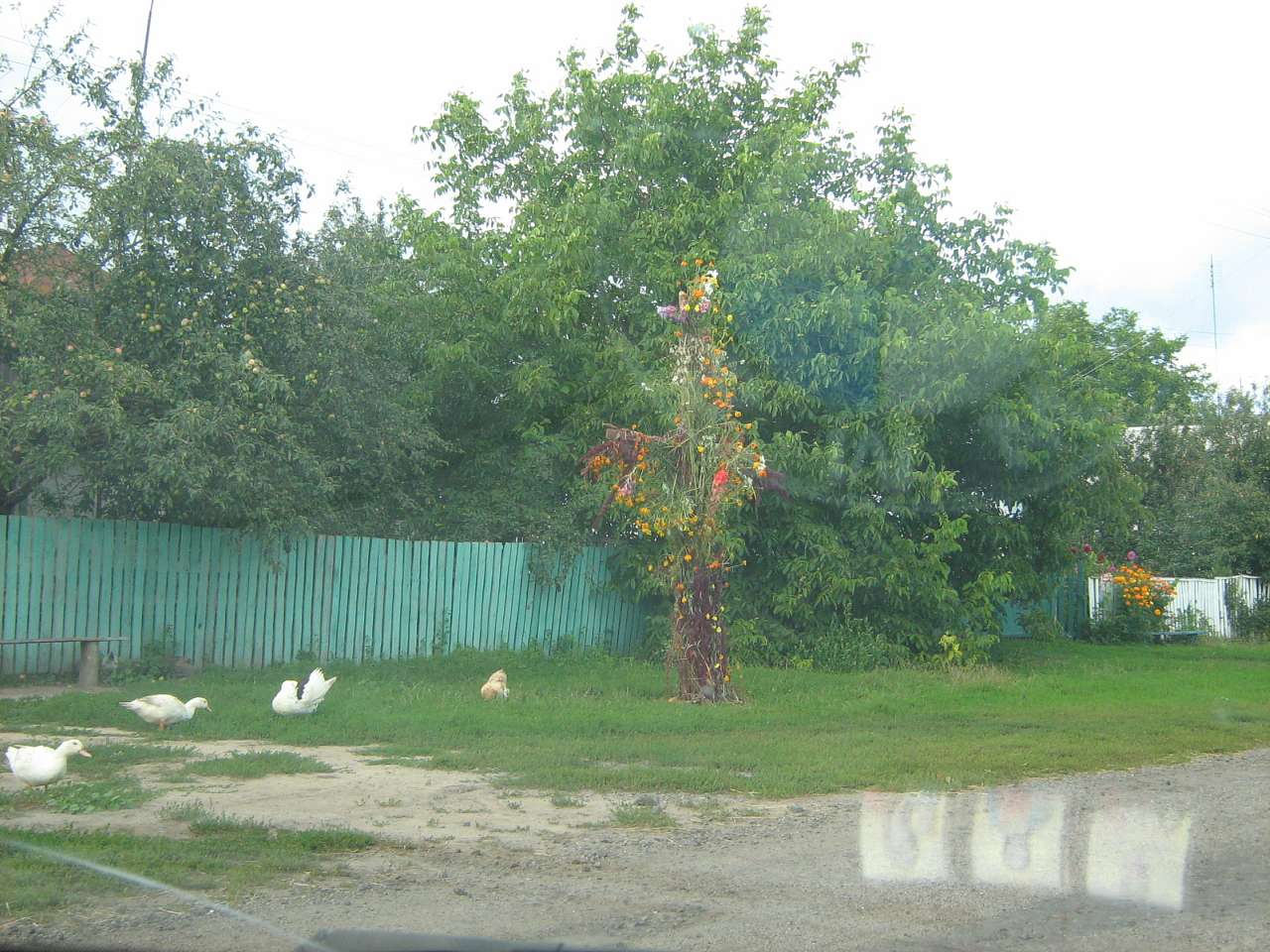 с.Ставище. - Ставище