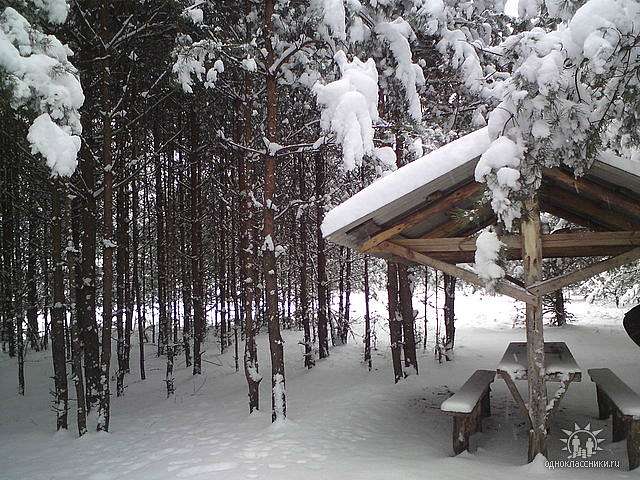 с.Петрівка,Чернігівська обл,Борзнянський р-н - Петрівка
