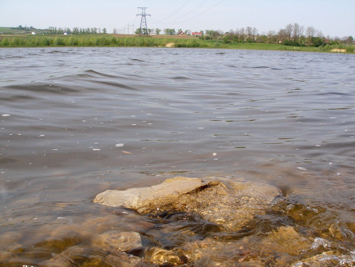 Жванець - Жванец