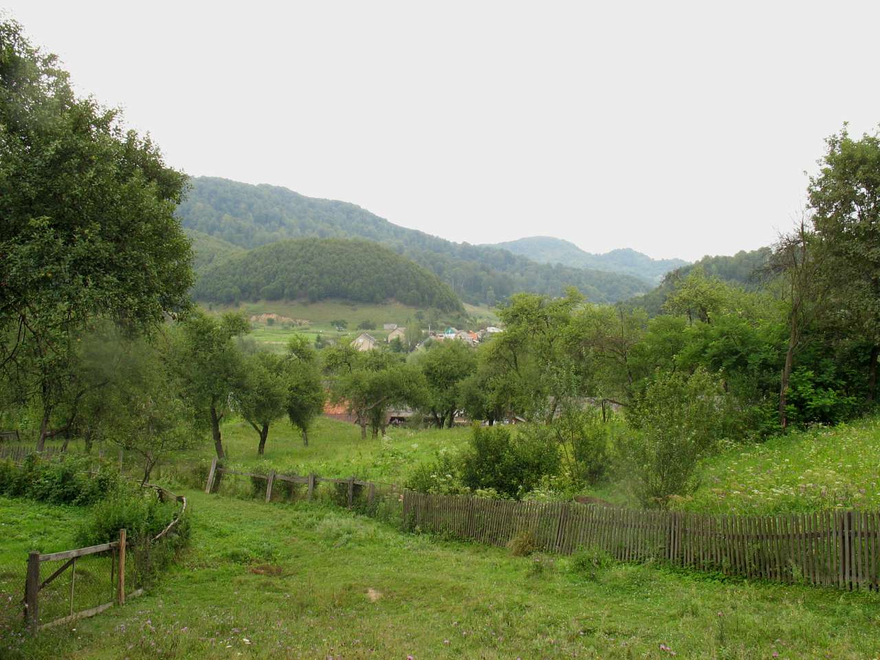 Чорна Вода - Lazy