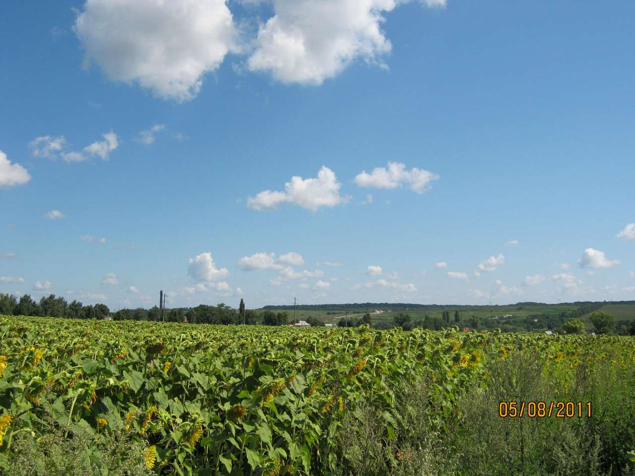 Шпола-географічний центр України - Шпола