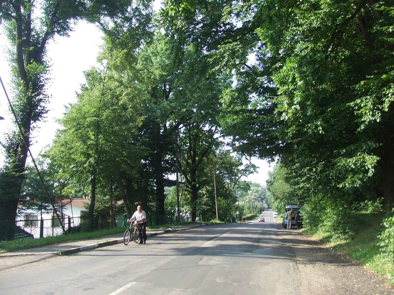 краєвид - Lysovychi