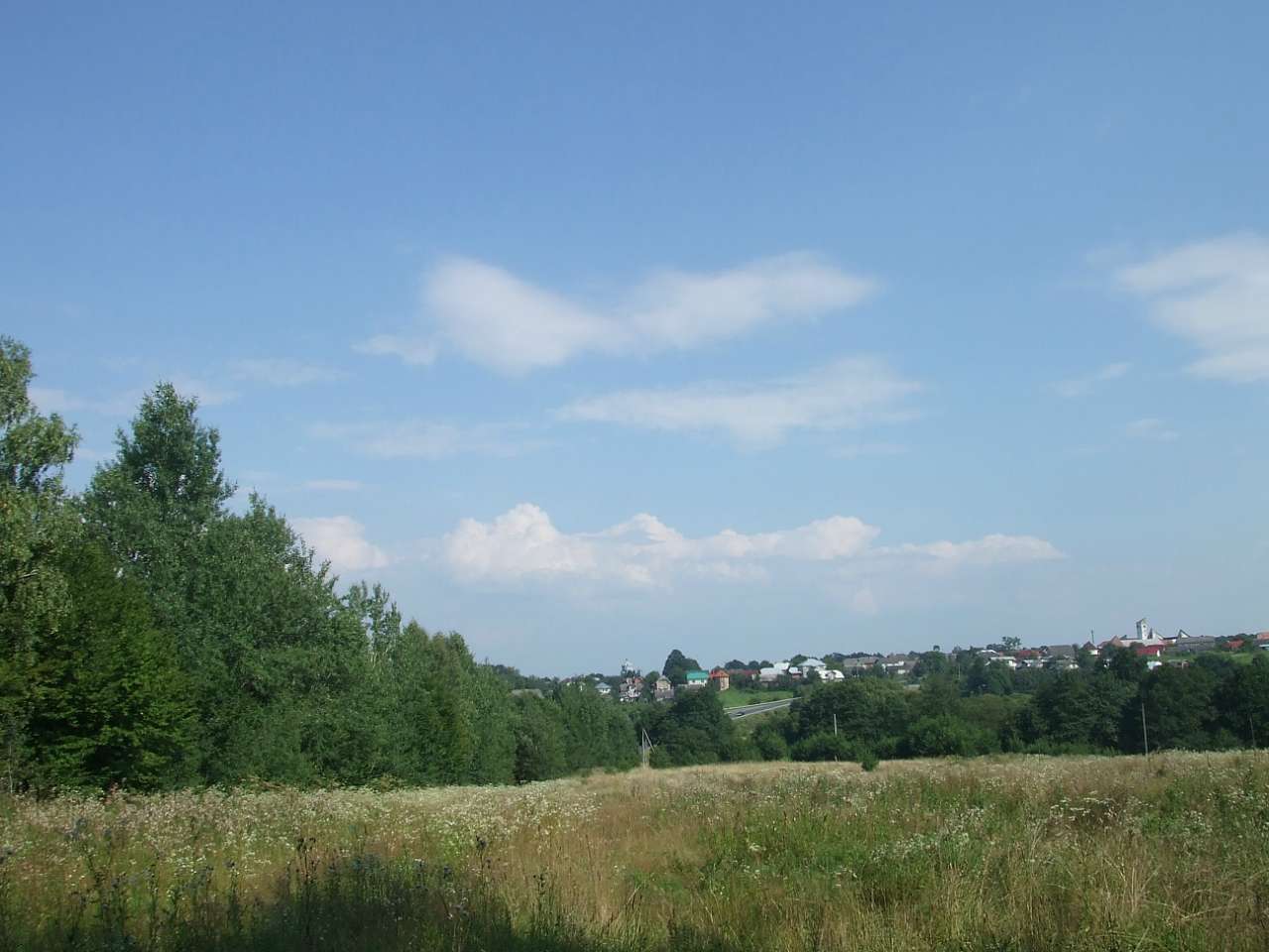 краєвид - Lysovychi