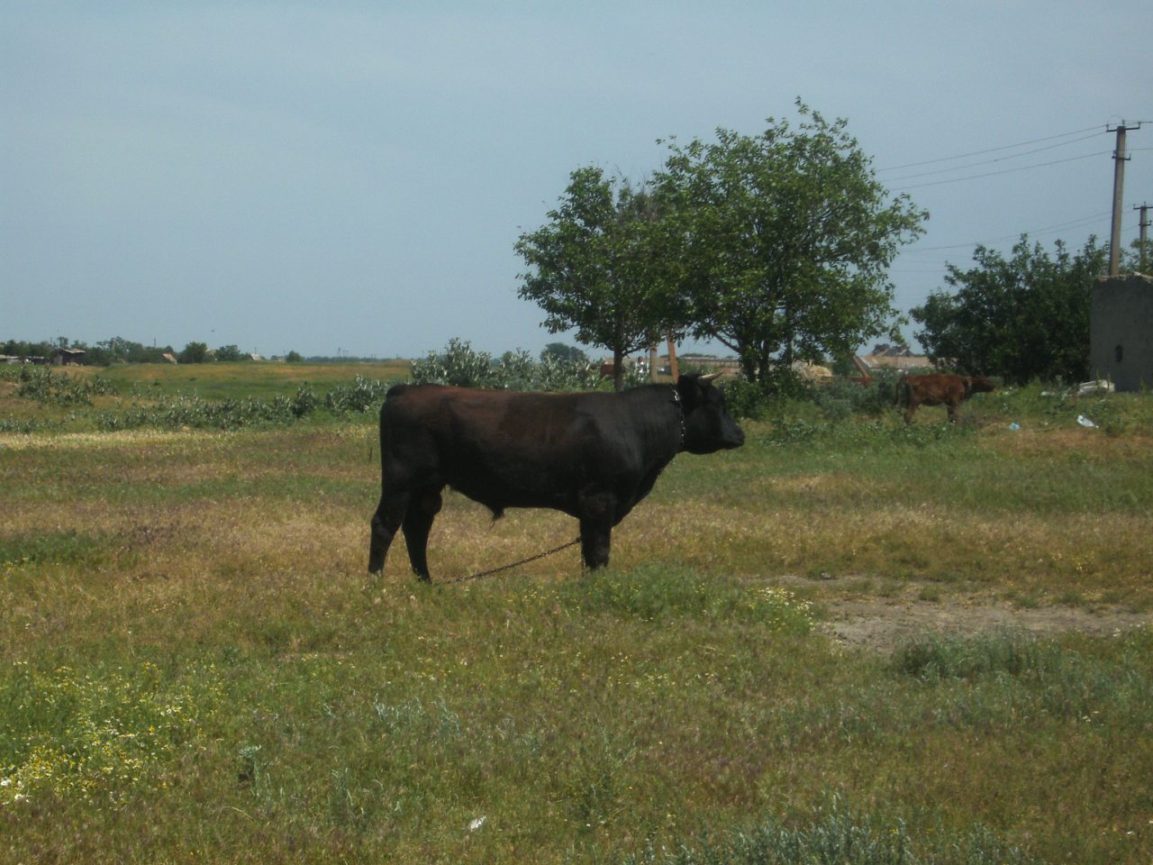 наше село - Дружбовка