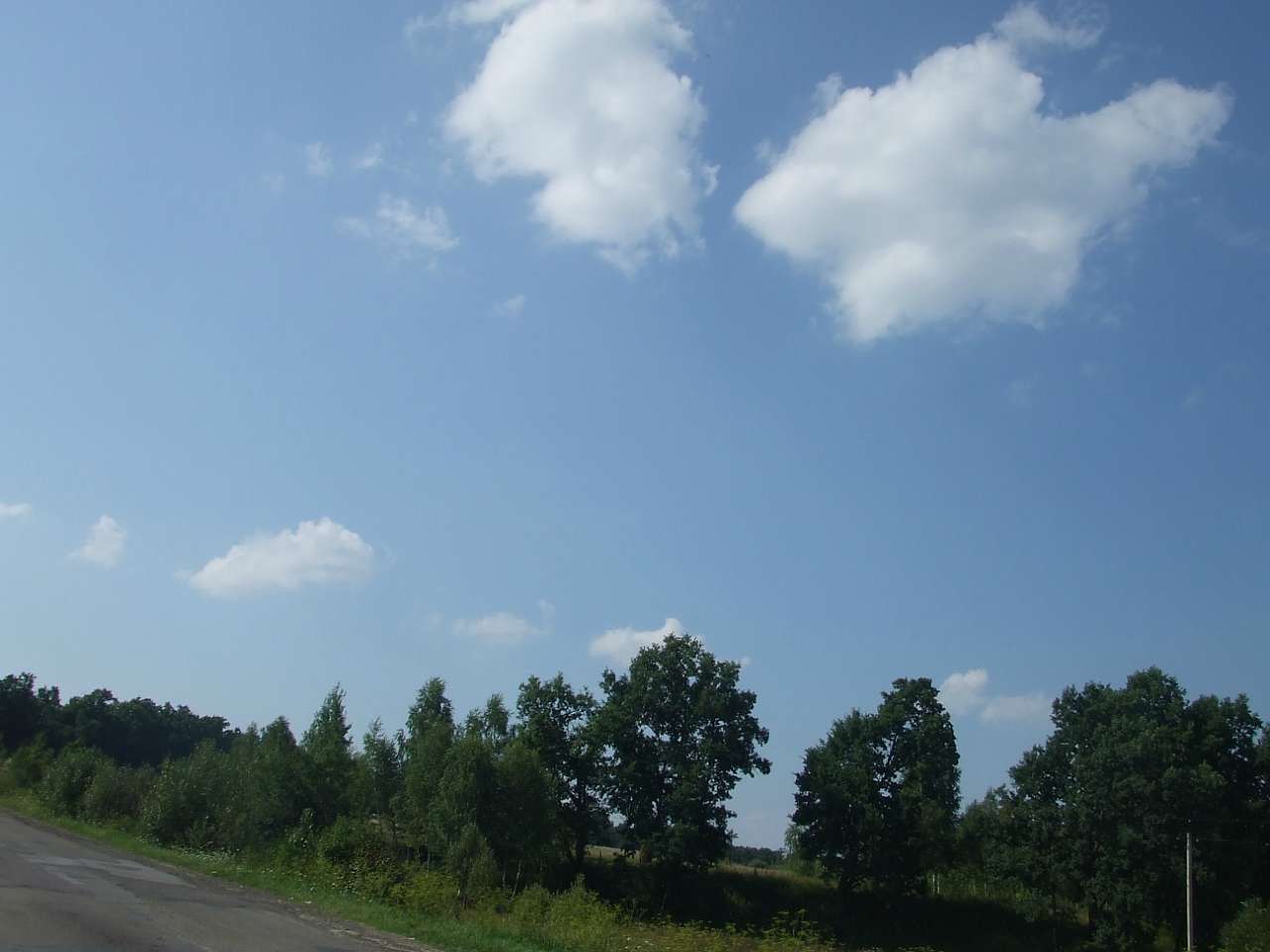 краєвид - Lysovychi