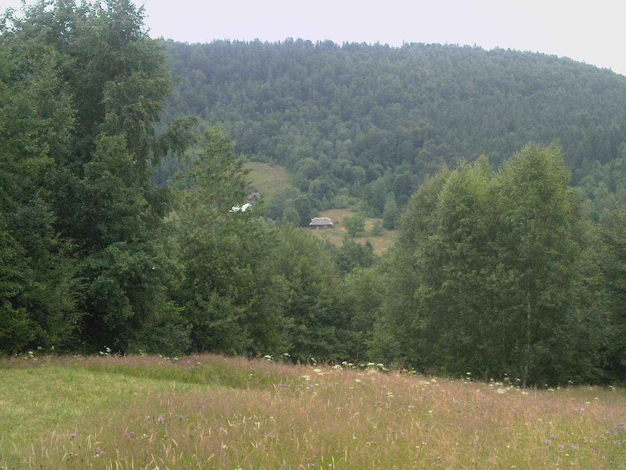 Природа - Рунгуры