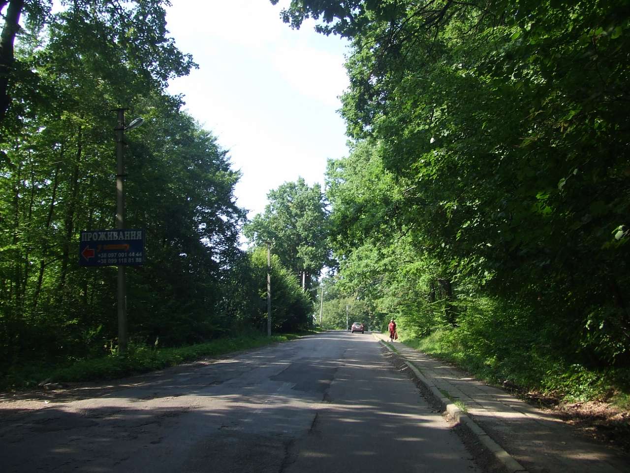 краєвид - Lysovychi