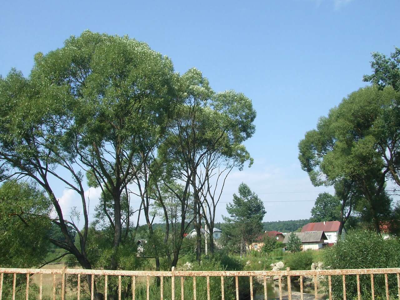 краєвид - Lysovychi