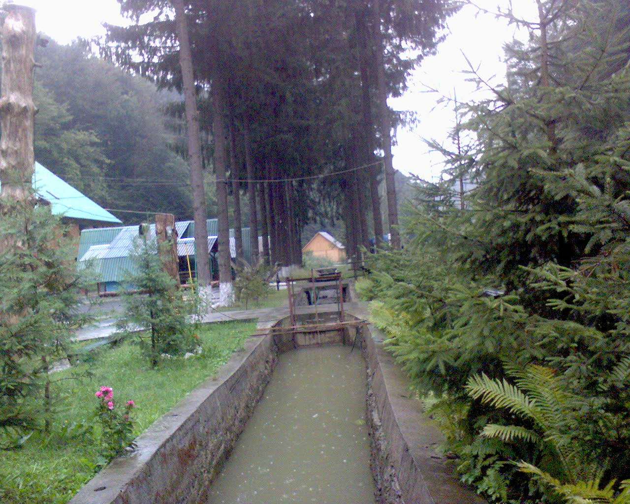 Чорна Вода - Лазы