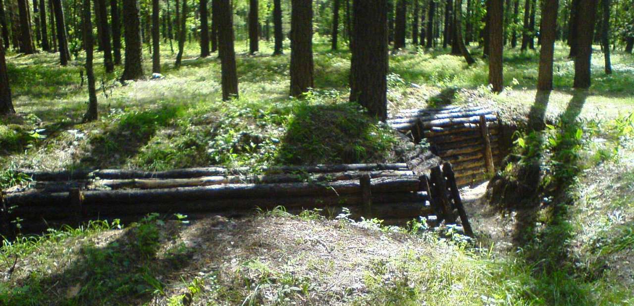 Лісоград - Єліне